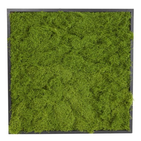 PANNELLO MUSCHIO 60X60CM